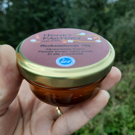 Mesikastehunaja 70g